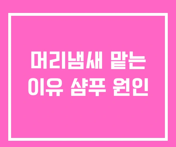 머리냄새 맡는 이유 샴푸 원인 머리냄새 맡는 이유 샴푸 원인