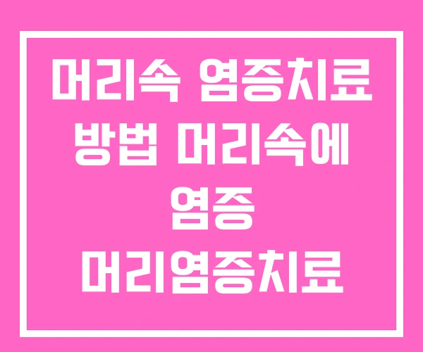 머리속 염증치료 방법 머리속에 염증 머리염증치료
