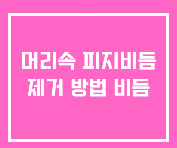 머리속 피지비듬 제거 방법 비듬