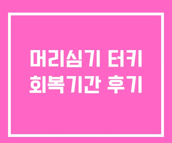 머리심기 터키 회복기간 후기 머리심기 터키 회복기간 후기