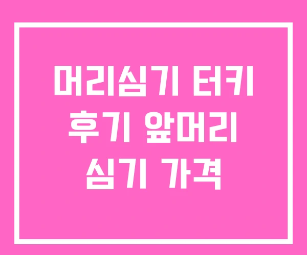 머리심기 터키 후기 앞머리 심기 가격