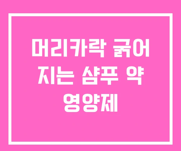머리카락 굵어 지는 샴푸 약 영양제