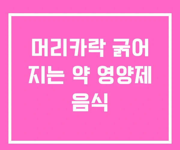 머리카락 굵어 지는 약 영양제 음식