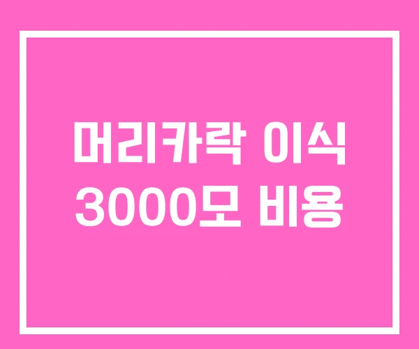 머리카락 이식 3000모 비용