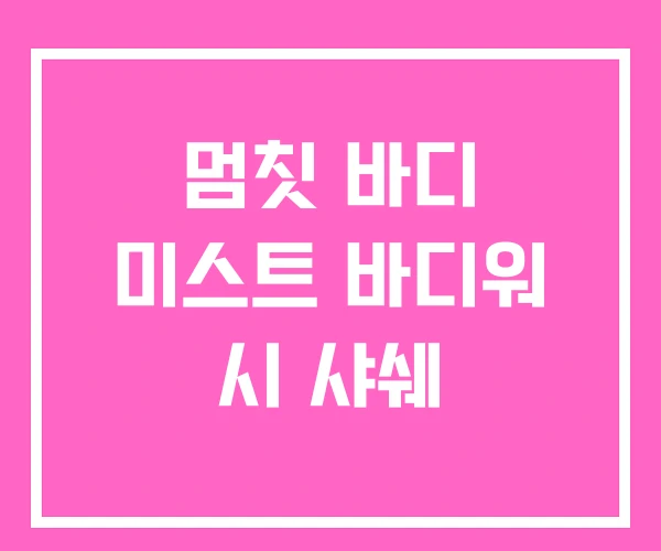 멈칫 바디 미스트 바디워 시 샤쉐 멈칫 바디 미스트 바디워 시 샤쉐