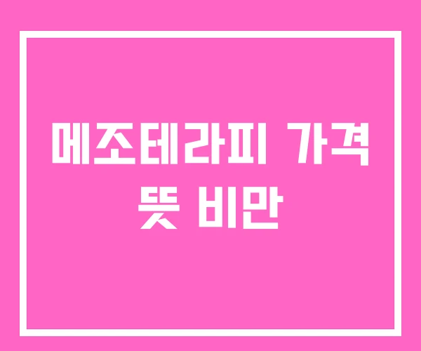 메조테라피 가격 뜻 비만