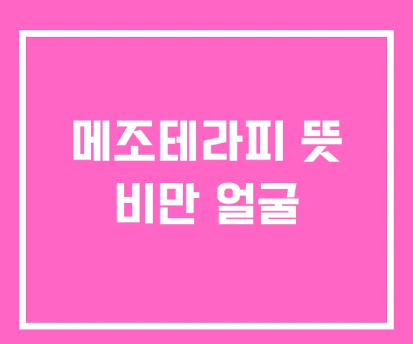 메조테라피 뜻 비만 얼굴