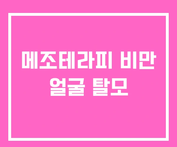 메조테라피 비만 얼굴 탈모