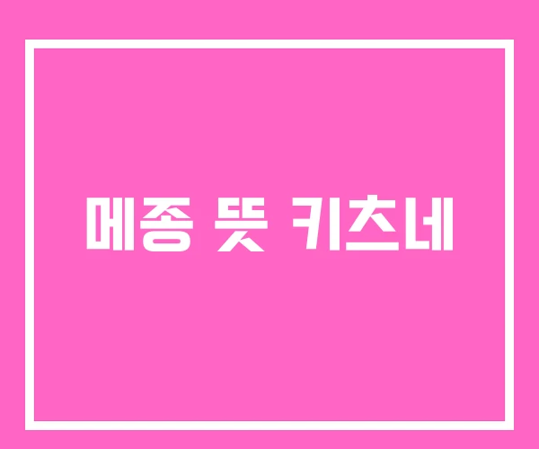 메종 뜻 키츠네