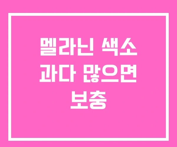 멜라닌 색소 과다 많으면 보충