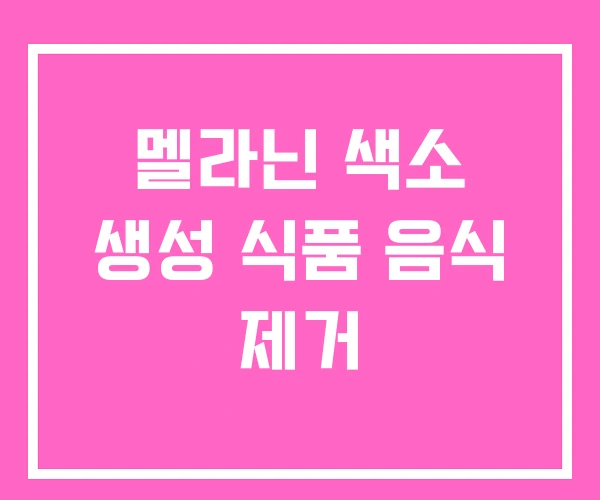 멜라닌 색소 생성 식품 음식 제거