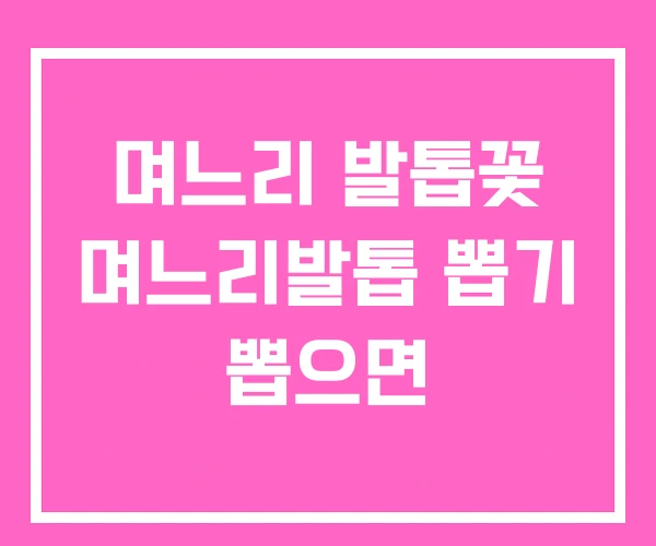 며느리 발톱꽃 며느리발톱 뽑기 뽑으면 며느리 발톱꽃 며느리발톱 뽑기 뽑으면
