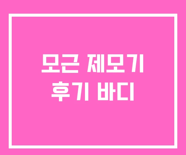 모근 제모기 후기 바디 모근 제모기 후기 바디