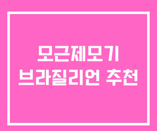 모근제모기 브라질리언 추천
