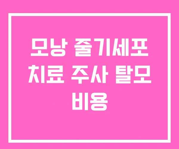 모낭 줄기세포 치료 주사 탈모 비용