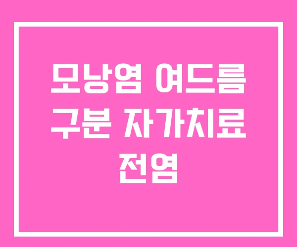 모낭염 여드름 구분 자가치료 전염 모낭염 여드름 구분 자가치료 전염