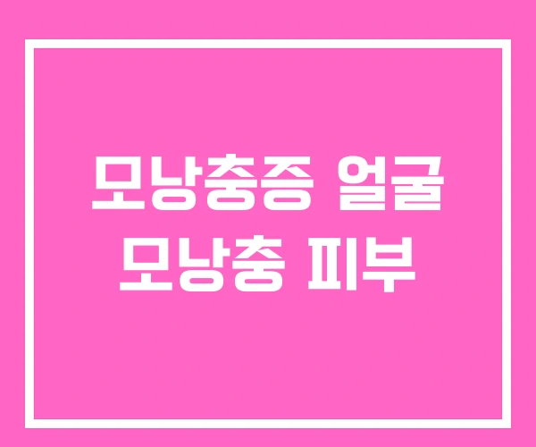 모낭충증 얼굴 모낭충 피부