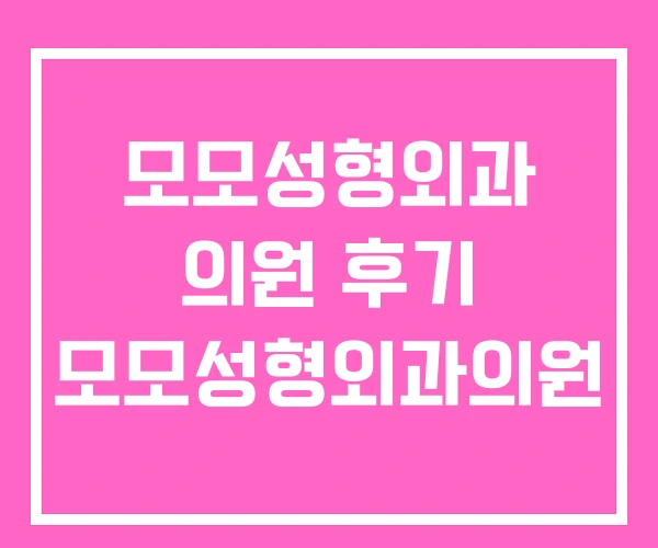모모성형외과 의원 후기 모모성형외과의원