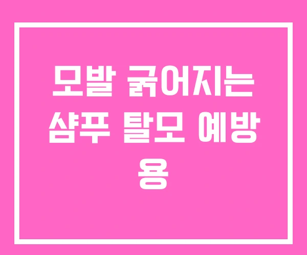 모발 굵어지는 샴푸 탈모 예방 용