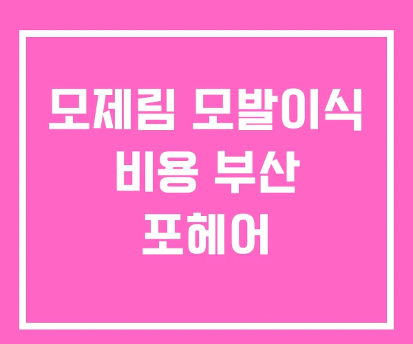 모제림 모발이식 비용 부산 포헤어