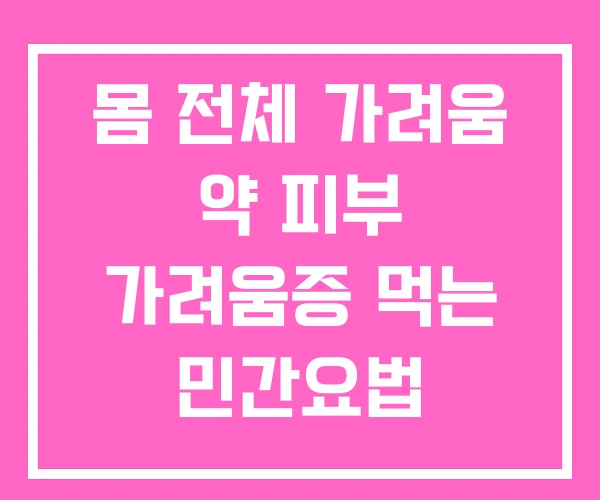몸 전체 가려움 약 피부 가려움증 먹는 민간요법