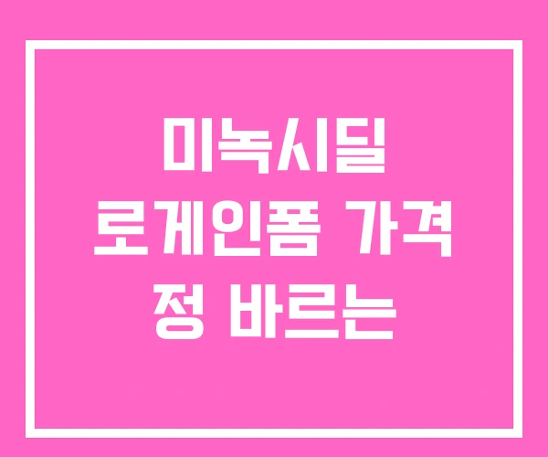 미녹시딜 로게인폼 가격 정 바르는