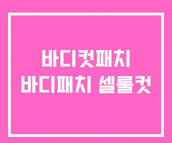 바디컷패치 바디패치 셀룰컷 바디컷패치 바디패치 셀룰컷