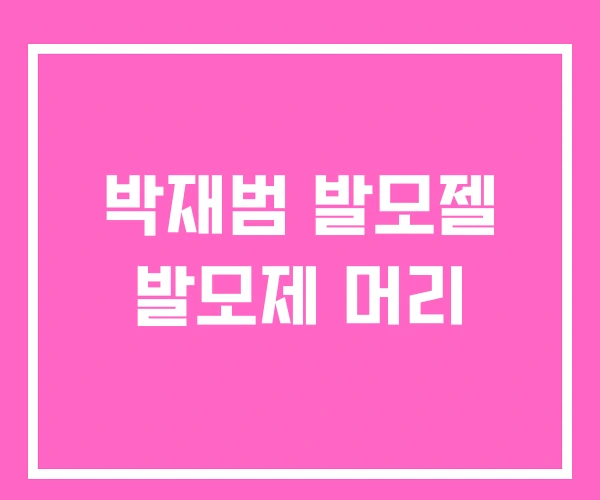 박재범 발모젤 발모제 머리 박재범 발모젤 발모제 머리