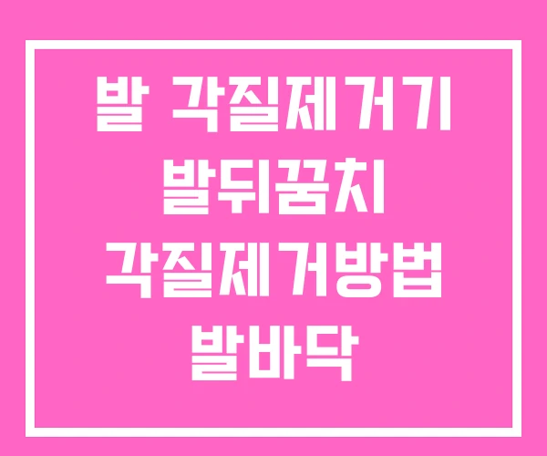 발 각질제거기 발뒤꿈치 각질제거방법 발바닥 발 각질제거기 발뒤꿈치 각질제거방법 발바닥