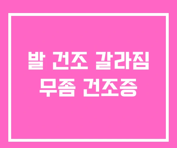 발 건조 갈라짐 무좀 건조증 발 건조 갈라짐 무좀 건조증