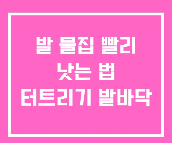 발 물집 빨리 낫는 법 터트리기 발바닥 발 물집 빨리 낫는 법 터트리기 발바닥