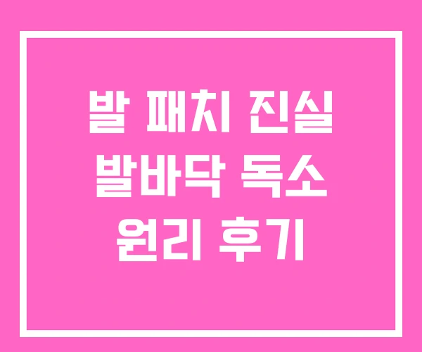 발 패치 진실 발바닥 독소 원리 후기 발 패치 진실 발바닥 독소 원리 후기