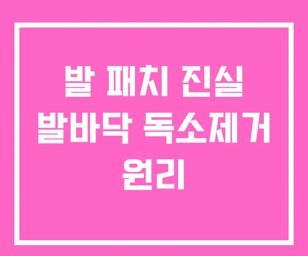 발 패치 진실 발바닥 독소제거 원리 발 패치 진실 발바닥 독소제거 원리