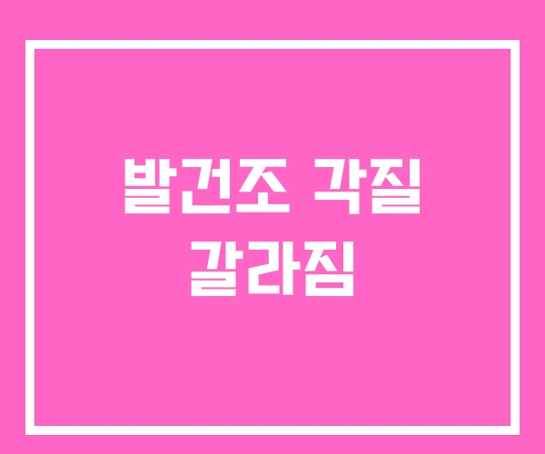 발건조 각질 갈라짐 발건조 각질 갈라짐