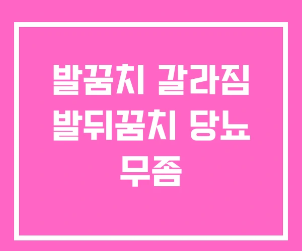 발꿈치 갈라짐 발뒤꿈치 당뇨 무좀 발꿈치 갈라짐 발뒤꿈치 당뇨 무좀