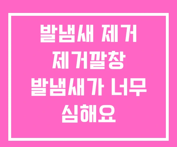 발냄새 제거 제거깔창 발냄새가 너무 심해요