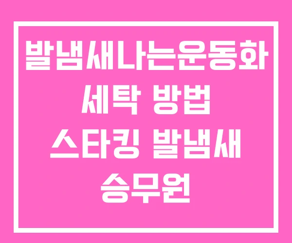 발냄새나는운동화 세탁 방법 스타킹 발냄새 승무원 발냄새나는운동화 세탁 방법 스타킹 발냄새 승무원