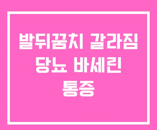 발뒤꿈치 갈라짐 당뇨 바세린 통증