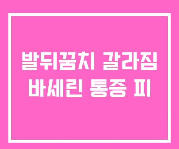 발뒤꿈치 갈라짐 바세린 통증 피