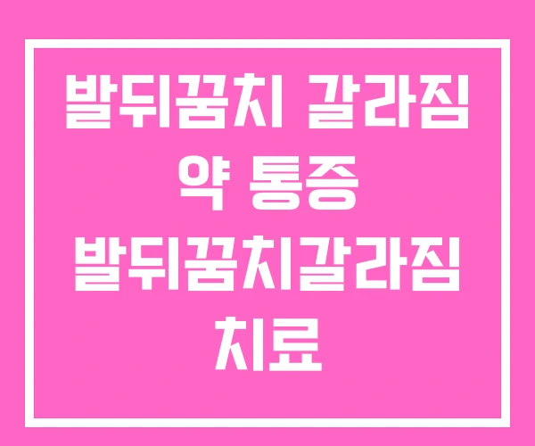 발뒤꿈치 갈라짐 약 통증 발뒤꿈치갈라짐 치료 발뒤꿈치 갈라짐 약 통증 발뒤꿈치갈라짐 치료