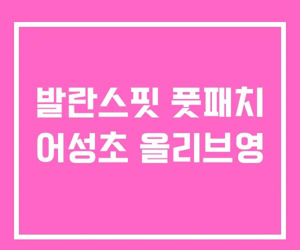 발란스핏 풋패치 어성초 올리브영 발란스핏 풋패치 어성초 올리브영