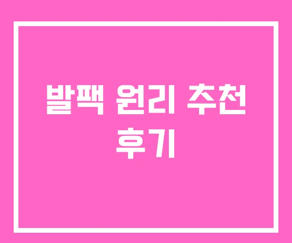 발팩 원리 추천 후기