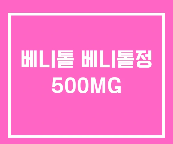 베니톨 베니톨정 500MG