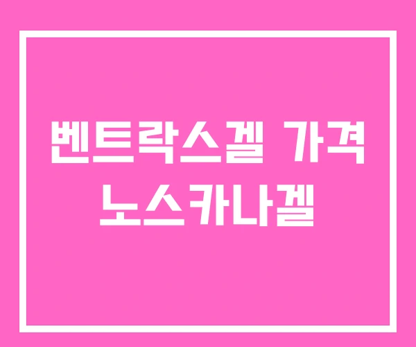 벤트락스겔 가격 노스카나겔