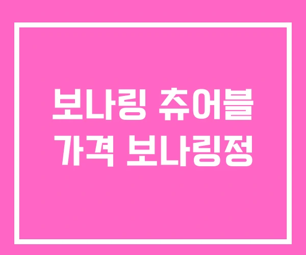 보나링 츄어블 가격 보나링정
