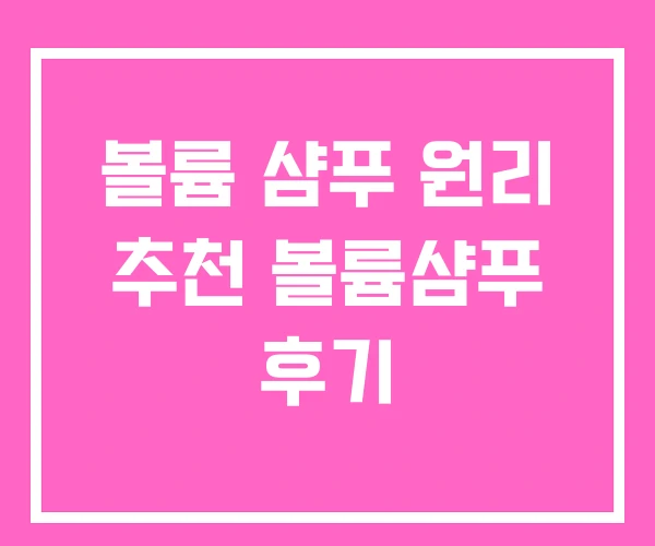 볼륨 샴푸 원리 추천 볼륨샴푸 후기