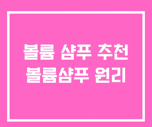 볼륨 샴푸 추천 볼륨샴푸 원리 볼륨 샴푸 추천 볼륨샴푸 원리