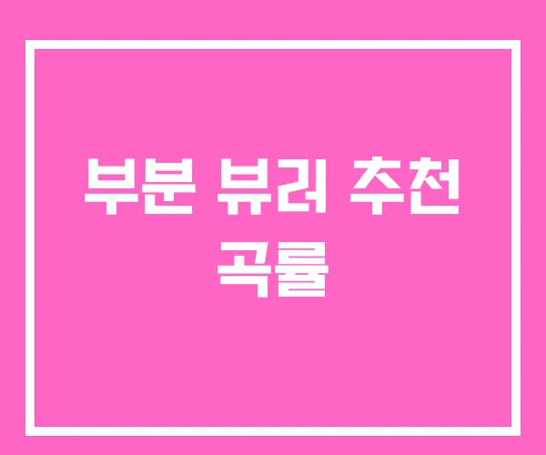 부분 뷰러 추천 곡률