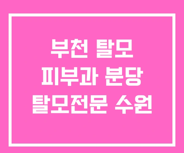 부천 탈모 피부과 분당 탈모전문 수원 부천 탈모 피부과 분당 탈모전문 수원
