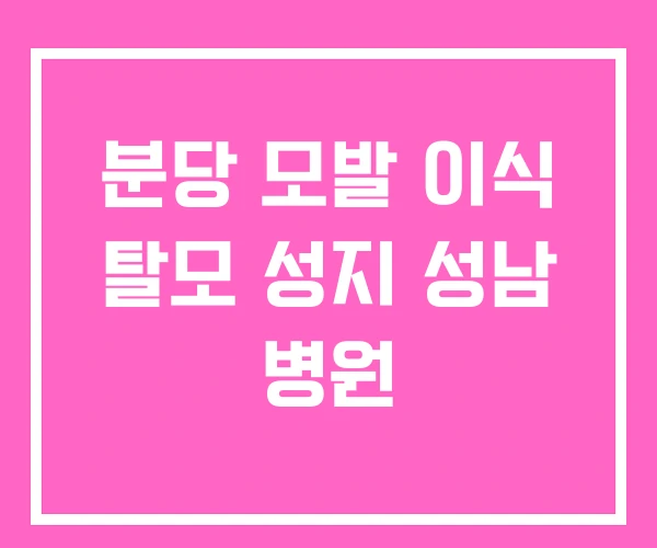 분당 모발 이식 탈모 성지 성남 병원